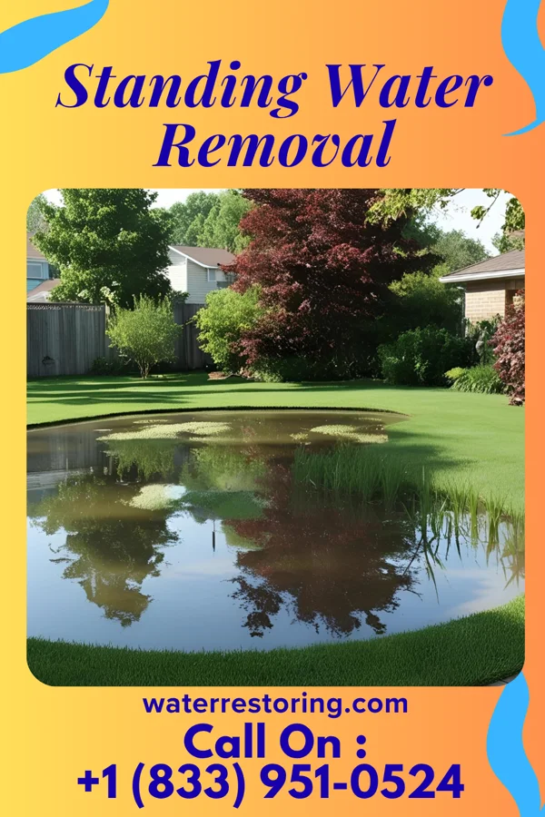 Standing Water Removal in Argo, AL